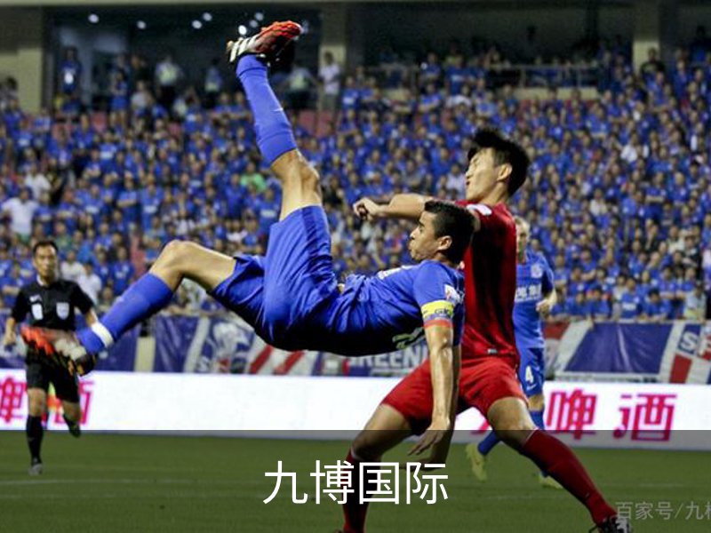 走进九博国际